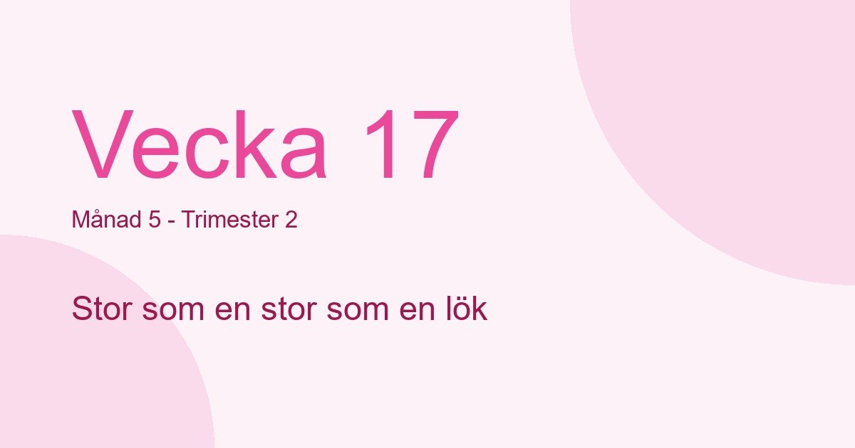 Bebisens utveckling vecka 17 - storlek som stor som en lök