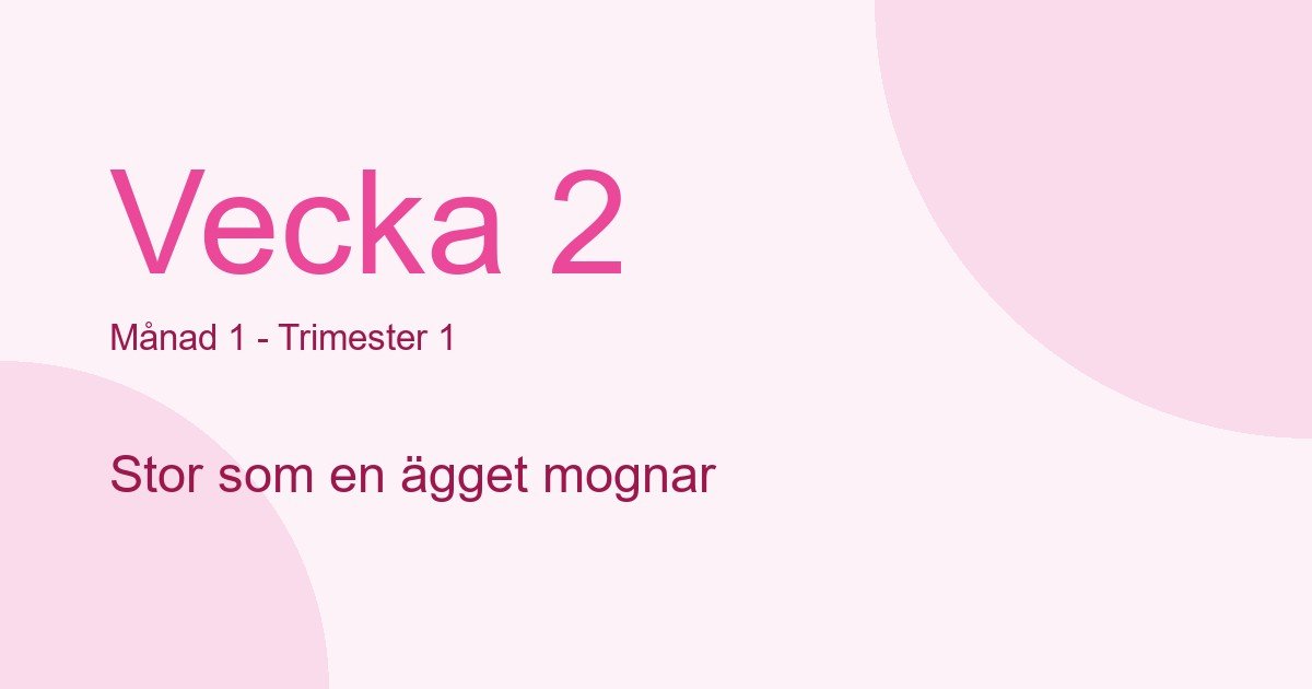 Bebisens utveckling vecka 2 - storlek som ägget mognar
