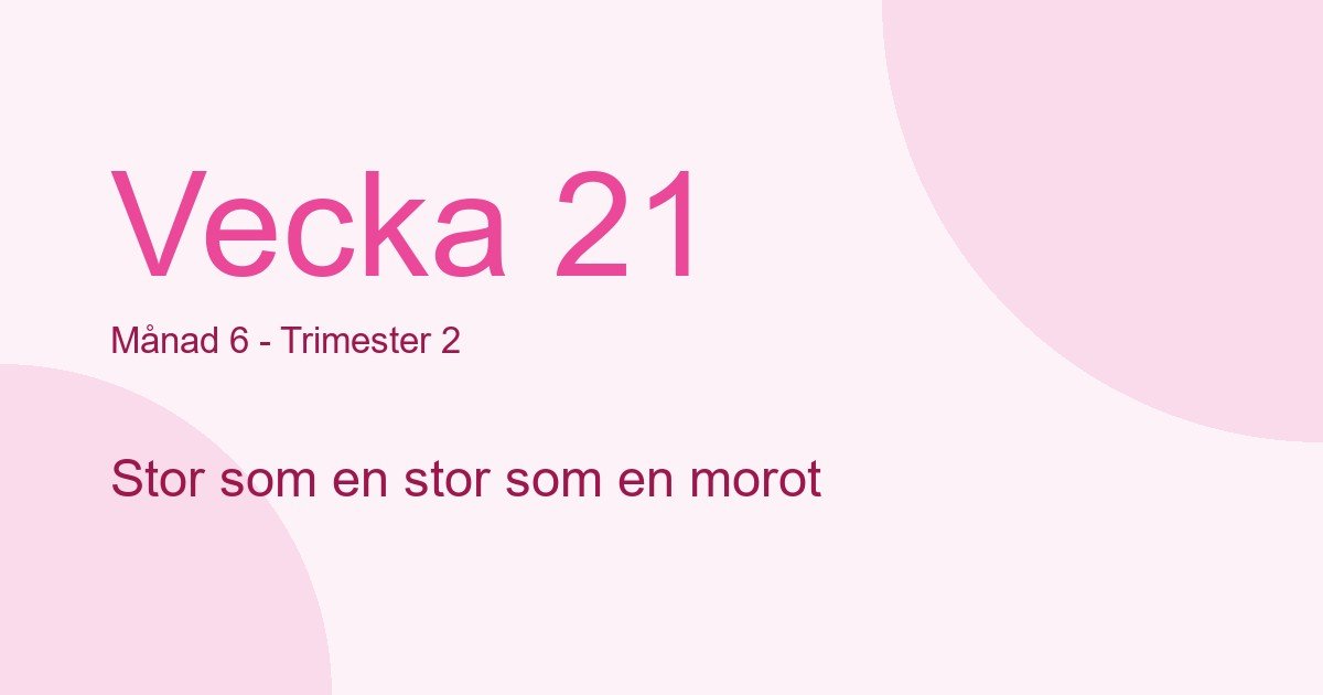 Bebisens utveckling vecka 21 - storlek som stor som en morot