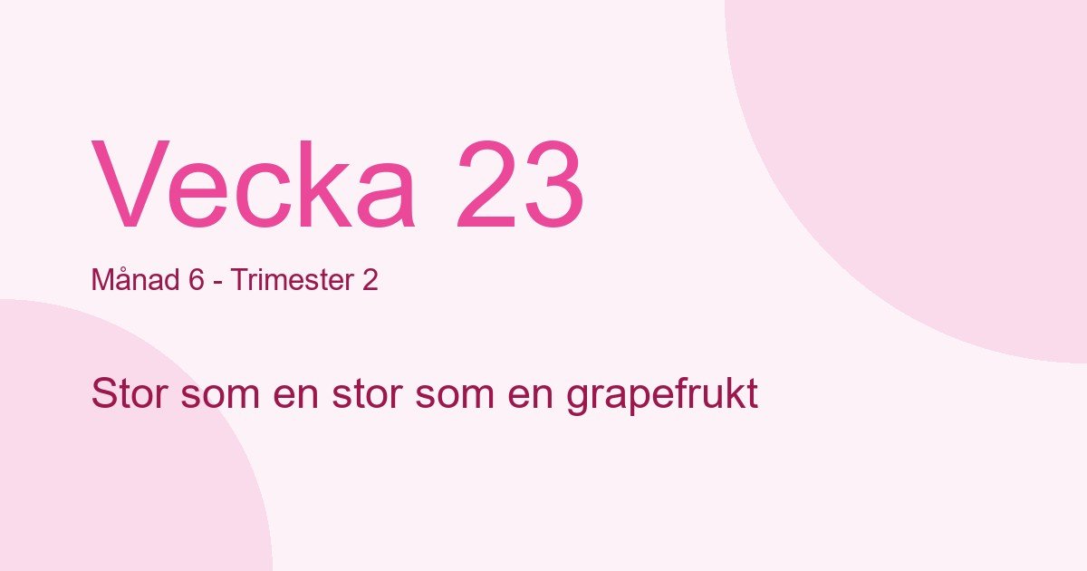 Bebisens utveckling vecka 23 - storlek som stor som en grapefrukt