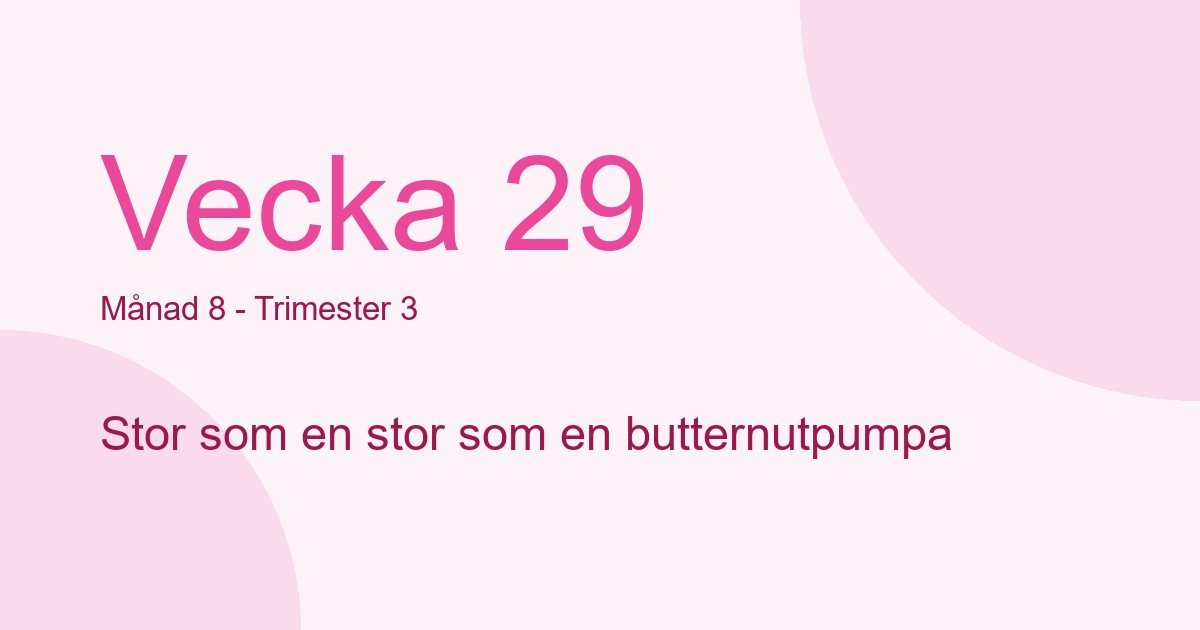Bebisens utveckling vecka 29 - storlek som stor som en butternutpumpa