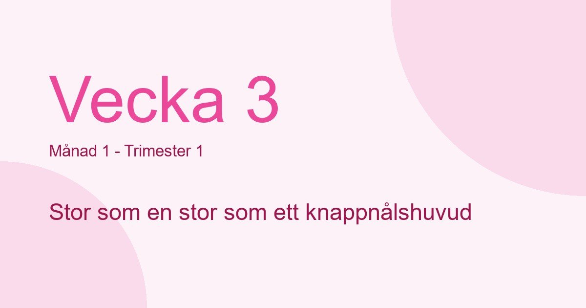 Bebisens utveckling vecka 3 - storlek som stor som ett knappnålshuvud