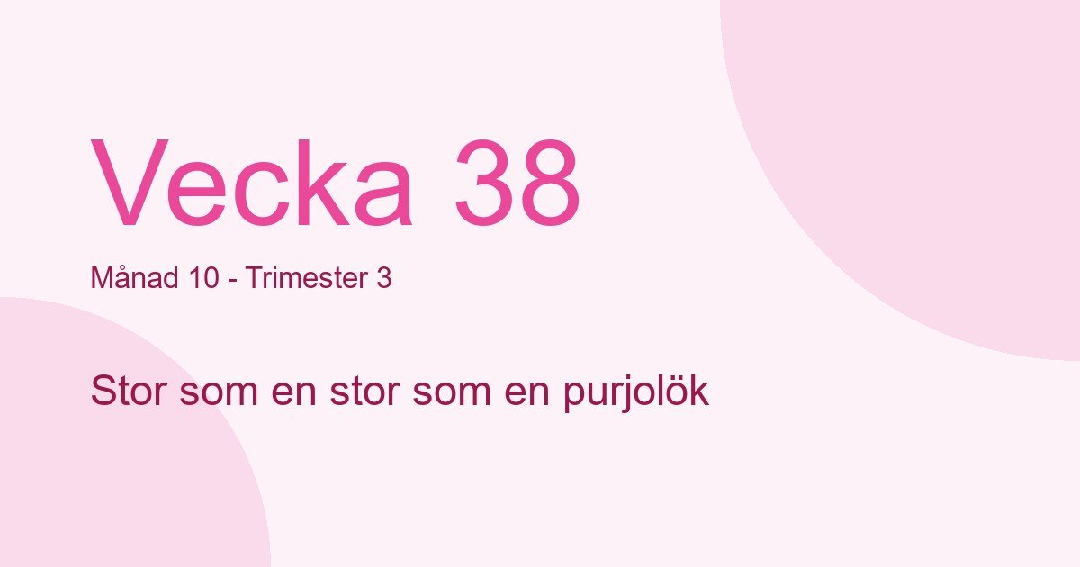 Bebisens utveckling vecka 38 - storlek som stor som en purjolök