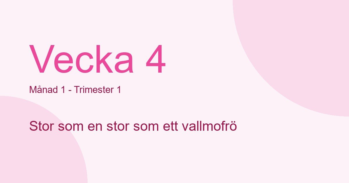 Bebisens utveckling vecka 4 - storlek som stor som ett vallmofrö